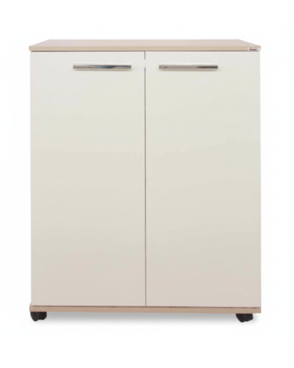 Porte chaussures classique 2 portes