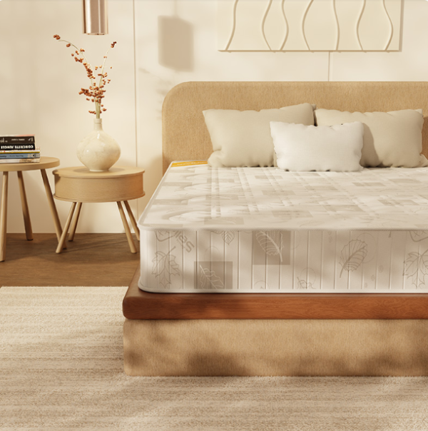 mat 1 Matelas Orthodos